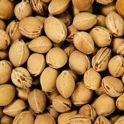 Bouillotte Noyaux Cerises Efie® Broderie Otarie - Bouillotte Efie 6 Bouillotte Noyaux Cerises Efie® Broderie Otarie - Bouillotte Efie -Jouets De Confort En Peluche Boutique bouillotte noyaux cerises efie broderie otarie bouillotte efie 2