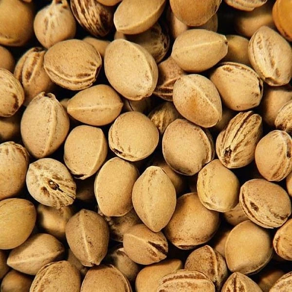 Bouillotte Noyaux Cerises Efie® Broderie Otarie - Bouillotte Efie 3 Bouillotte Noyaux Cerises Efie® Broderie Otarie - Bouillotte Efie – Image 3