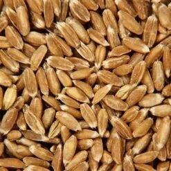 Doudou Bouillotte Eléphant 30 Cm Coton Bio Epeautre Efie® - Doudou Bio Naturel Efie -Jouets De Confort En Peluche Boutique doudou bouillotte efie elephant coton bio organic epeautre doudou bio naturel efie 3