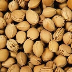 Doudou Bouillotte Efie Noyaux Cerises Ours Brun 39 Cm - Doudou Bio Naturel Efie -Jouets De Confort En Peluche Boutique doudou bouillotte efie noyaux cerises ours brun doudou bio naturel efie 1 3