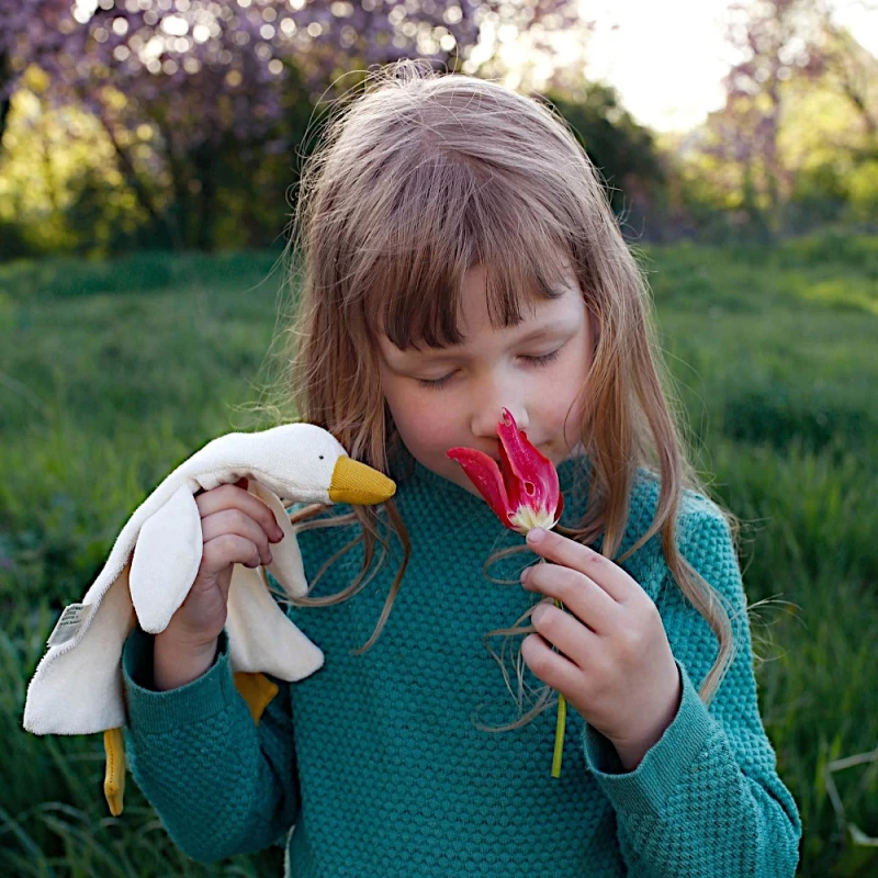 Doudou Marionnette à Doigt Oie Fritzi 30 Cm Nanchen Natur® Coton & Laine Bio- Jouet Bio 2 Doudou Marionnette à Doigt Oie Fritzi 30 Cm Nanchen Natur® Coton & Laine Bio- Jouet Bio – Image 2