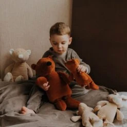 Doudou Peluche Ours Caramel Wooly Organic® Coton Bio 17 Cm - Doudou Bio GOTS -Jouets De Confort En Peluche Boutique doudou peluche ours caramel wooly organic coton bio 17 cm doudou bio gots 3