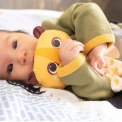 Doudou Plat 28cm Coton Bio Lion Coq En Pâte® - Doudou Coton Bio -Jouets De Confort En Peluche Boutique doudou plat 28cm coton bio lion en pate cartable coton bio 3