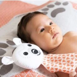 Doudou Plat 28cm Coton Bio Ours Polaire Coq En Pâte® - Doudou Coton Bio -Jouets De Confort En Peluche Boutique doudou plat 28cm coton bio ours polaire coq en pate cartable coton bio 3