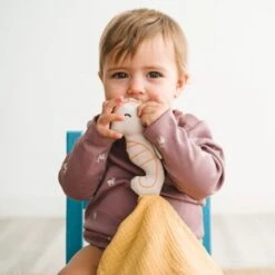 Doudou Plat Lange Coton Bio Hippocampe APunt Barcelona® 30cm - Doudou Bébé Bio 10 Doudou Plat Lange Coton Bio Hippocampe APunt Barcelona® 30cm - Doudou Bébé Bio -Jouets De Confort En Peluche Boutique doudou plat lange coton bio hippocampe apunt barcelona 30cm doudou bebe bio 4