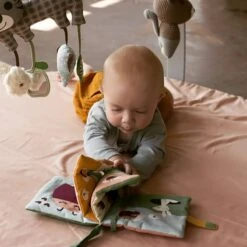 Livre Bébé En Tissu Coccinelle Franck & Fischer® - Livres Bébé -Jouets De Confort En Peluche Boutique livre bebe en tissu coccinelle franck fischer livres bebe 1 2