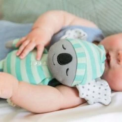 Petite Peluche Attache Sucette Organic Farm Buddies Koala Kozy 22cm Coton Bio - Jouets Bio Apple Park™ 7 Petite Peluche Attache Sucette Organic Farm Buddies Koala Kozy 22cm Coton Bio - Jouets Bio Apple Park™ -Jouets De Confort En Peluche Boutique petite peluche attache sucette organic farm buddies koala kozy coton bio 2