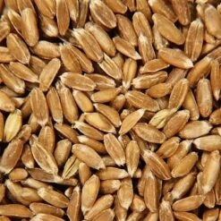 Poupée Bouillotte Épeautre Tissu Éponge & Robe Blanche Bonnet Rayé 28 Cm Efie® Coton Bio - Poupée Naturel Efie -Jouets De Confort En Peluche Boutique poupee bouillotte epeautre tissu eponge robe blanche efie coton bio poupee naturel efie 3